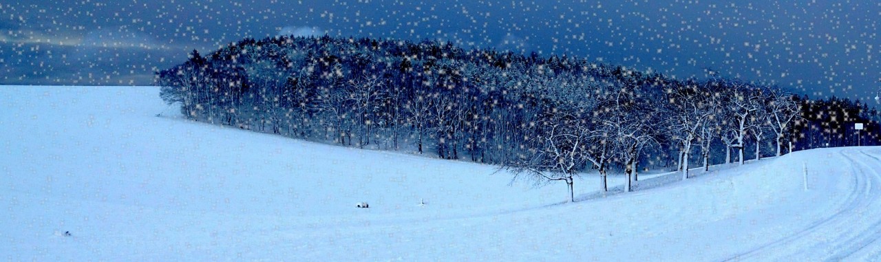 Banner-Frohe-Weihnachten